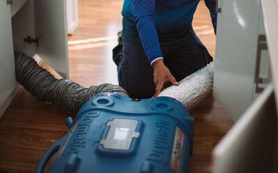 How to dry wet timber floors after a minor water spill.