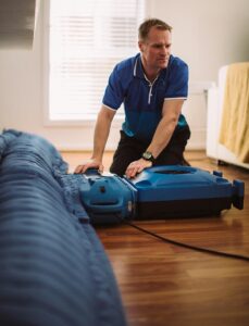 timber floor drying adelaide